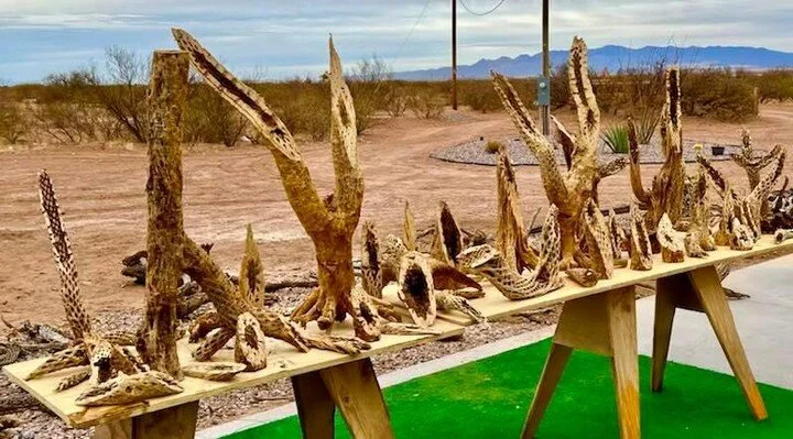 Simply beautiful. 
Created by Nature&hellip;Crafted By Hand. 

#createdbynature #craftedbyhand #cactusart #oneofakind #mesamarketplace #smallbusiness #cactuslover #natureart