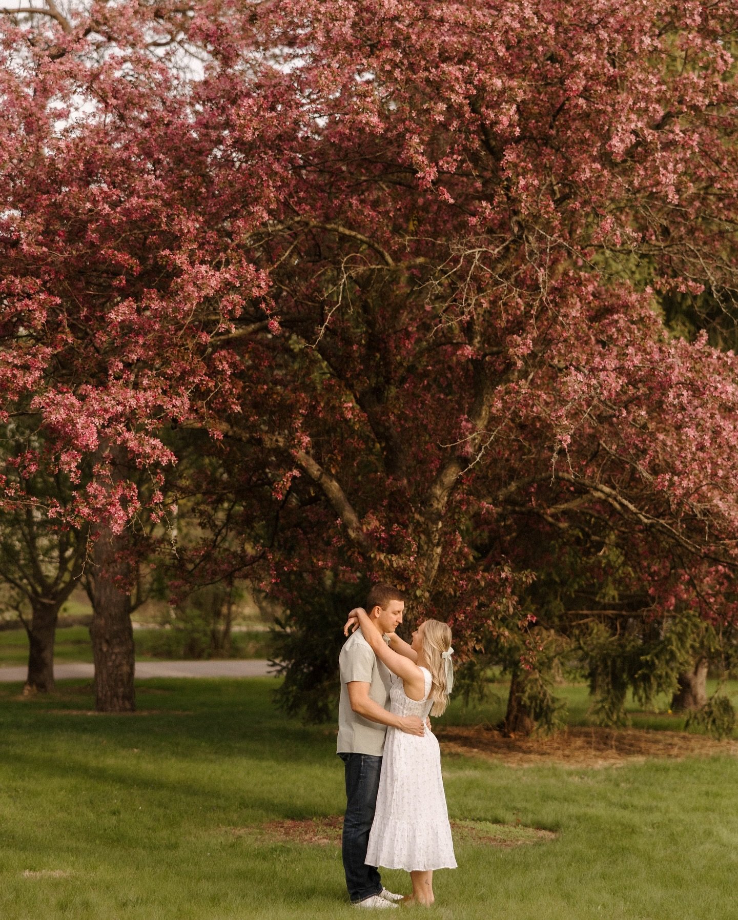 some favorites from Baily &amp; Matt&rsquo;s spring engagement session🥹🌸🫶🏼💗

// lowa wedding, lowa, Wedding trends, Midwest wedding, Midwest, Wedding photographer, lowa wedding photographer, Engagement Session, Engaged, Engagement Photos, Des Mo