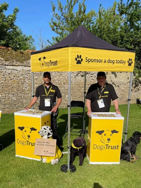 An Interview With Dogs Trust 2023 Charity Link an-interview-with-dogs-trust-2023-charity-link