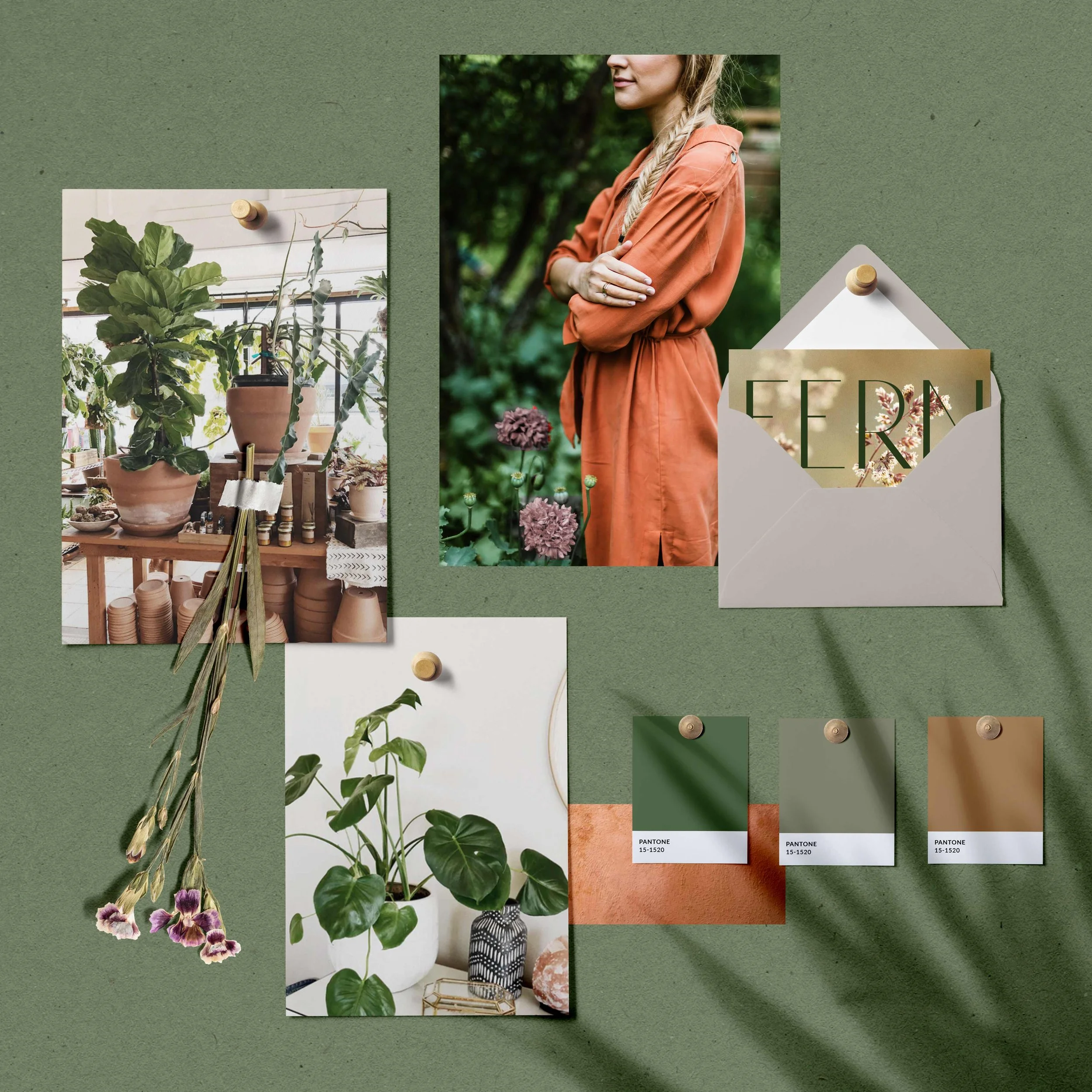 FERN