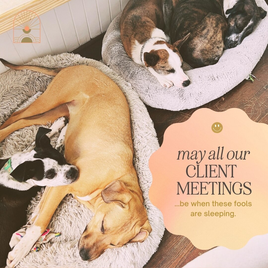 These studio pups PLAY and PLAY and PLAY. ⁣

We do get a few moments of precious &quot;quiet time&quot; when all they can do is CUDDLE and CUDDLE and CUDDLE. 

For those clients who call in during the PLAY parts of the day, we sincerely apologize in 