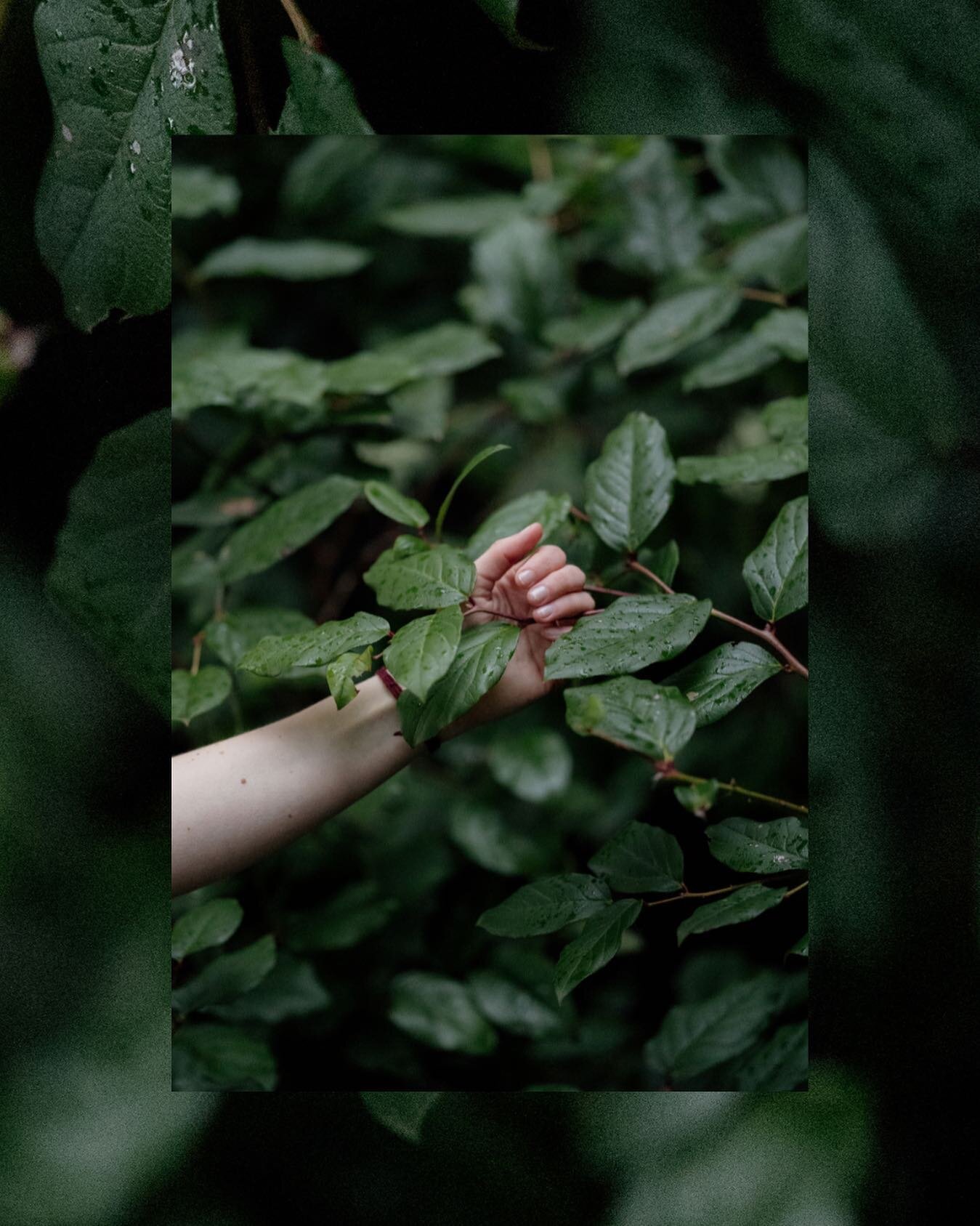 Nature&rsquo;s embrace 🍃 
.
.
.

#commercialphotography #victoriacommercialphotographer #vancouvercommercialphotographer #victoriabc #yyjphotographer #victoriabrandingphotographer