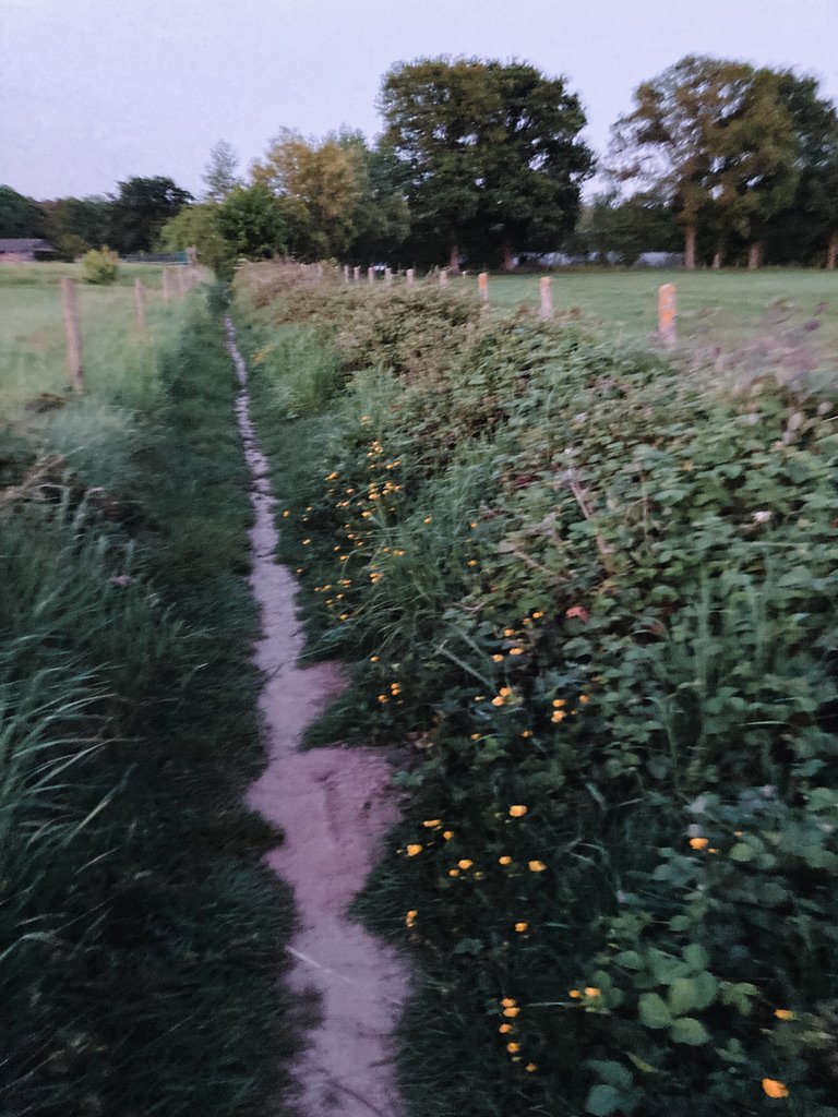 2D1CF06F-01E3-4100-8802-473B46076A4B_1_105_c.jpeg