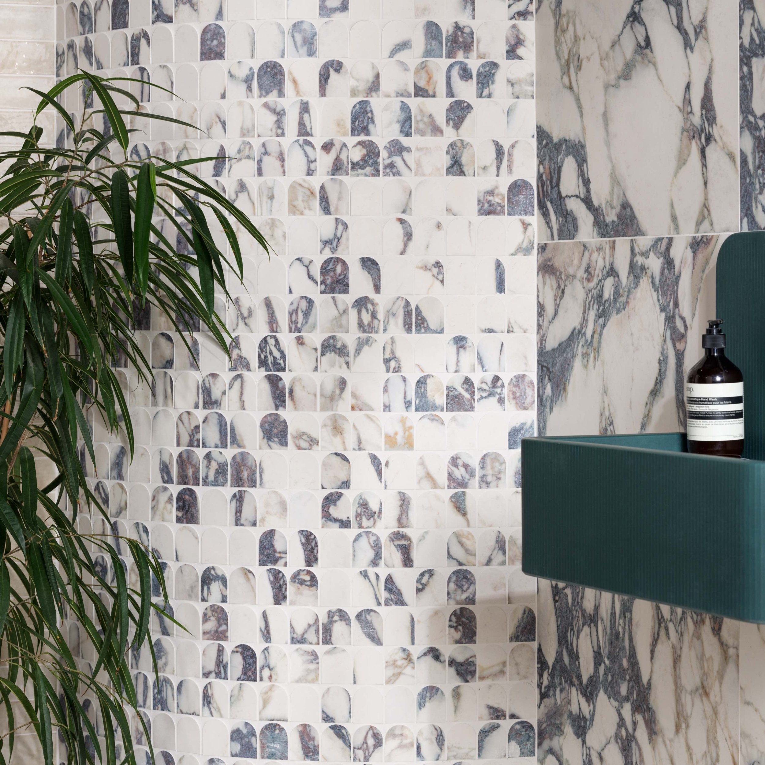 White and blue arched porcelain bathroom tile with a plant in-front of it