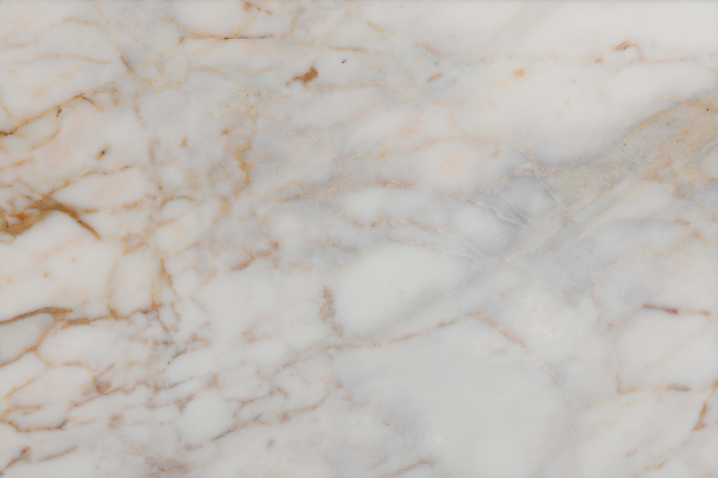 white and gold veined marble bathroom tile