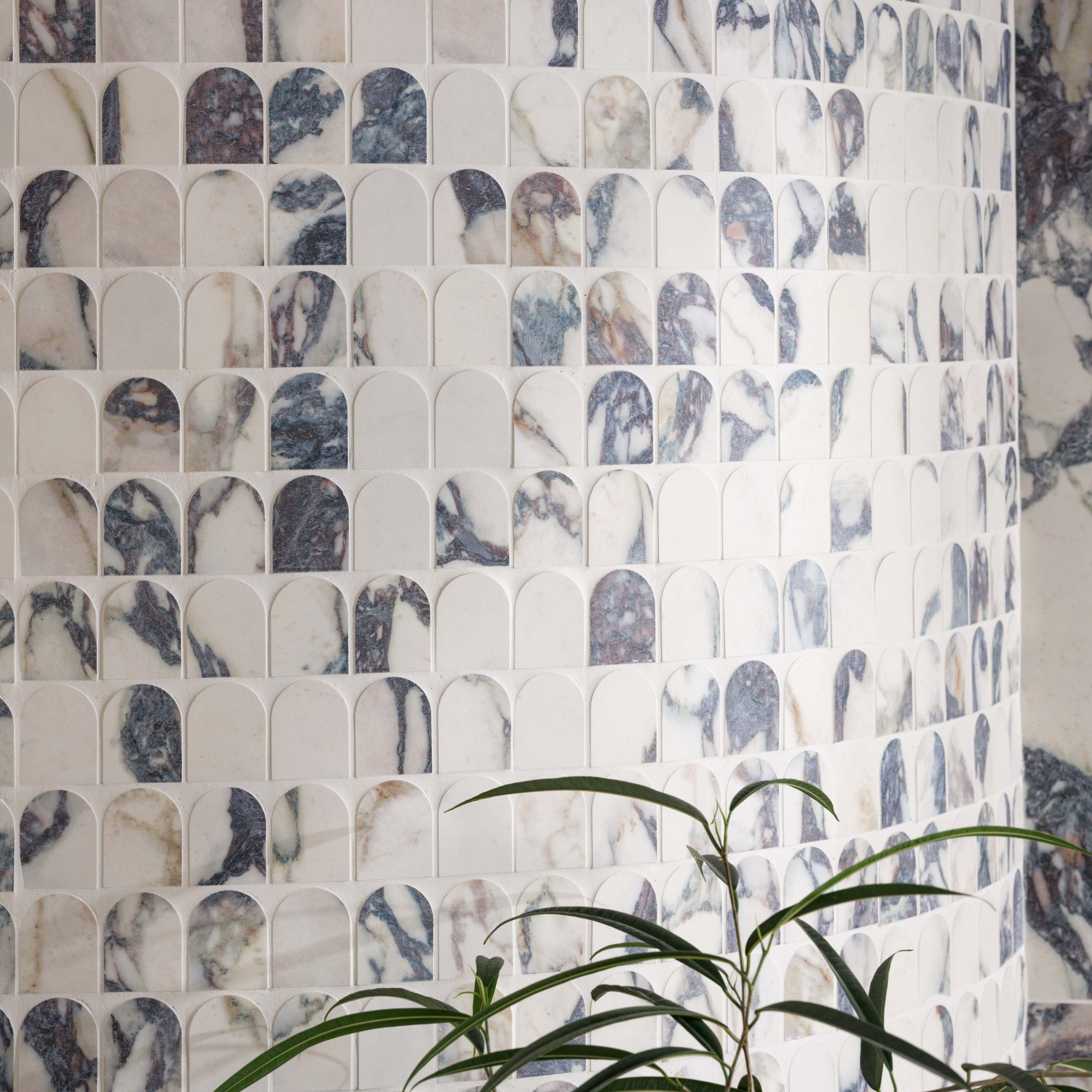 White and blue arched porcelain bathroom tile with a plant in-front of it