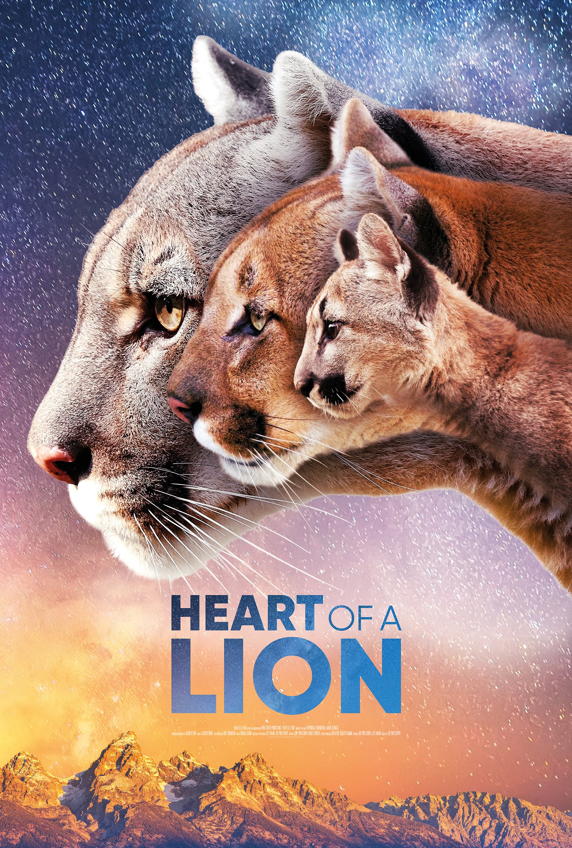 Heart of a Lion 1Sheet 2 LR.jpg