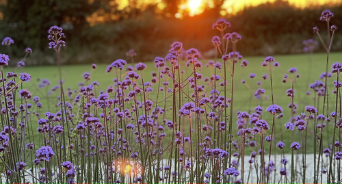 Bluebell Farm Contact Us