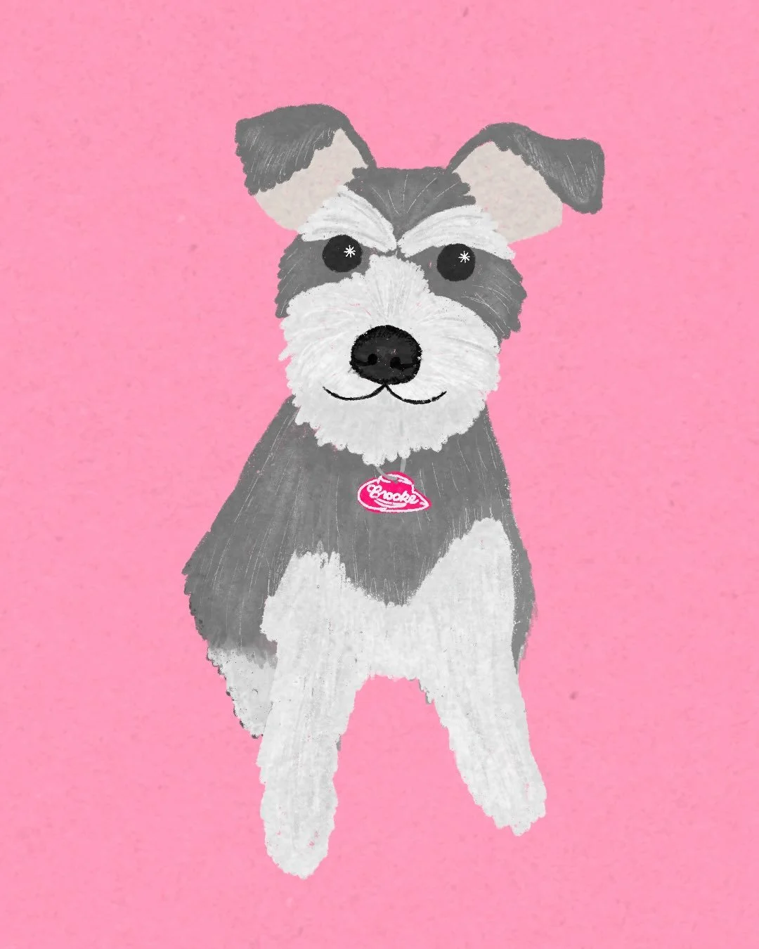 while i continue to procrastinate posting any client work, i thought i&rsquo;d introduce you to my new work from home companion&mdash;brooke! 🩷🐾 from napping on my feet to barking while i&rsquo;m presenting to clients, she definitely keeps my work 