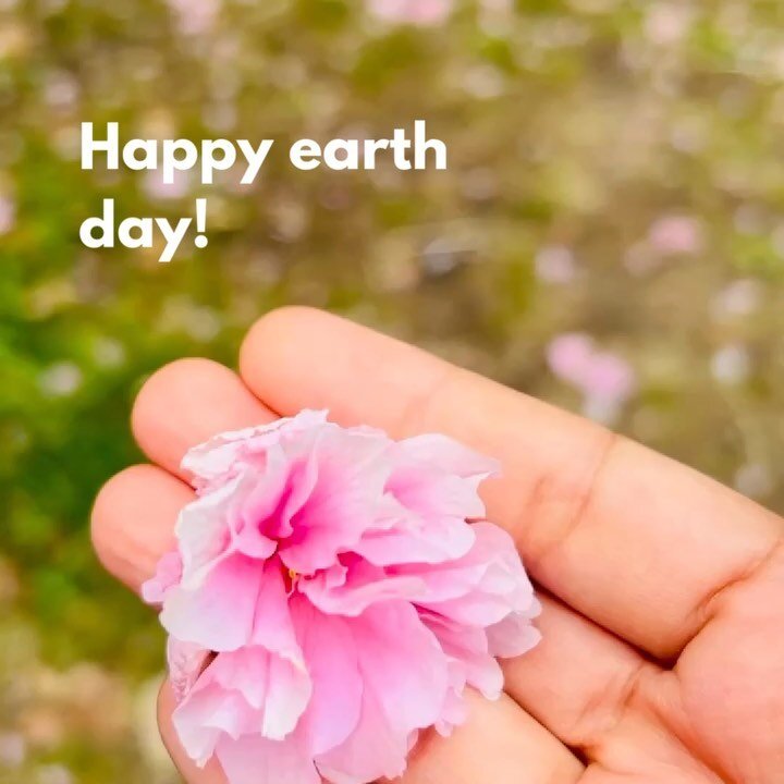 Happy earth day 🌎🌱🌳 but&hellip; we need to do something to keep it flowering.

 If you want to contribute to the @wwfsg efforts donate to https://fundraise.wwf.sg/sachabotanicals

The earth will appreciate it!💚💚💚