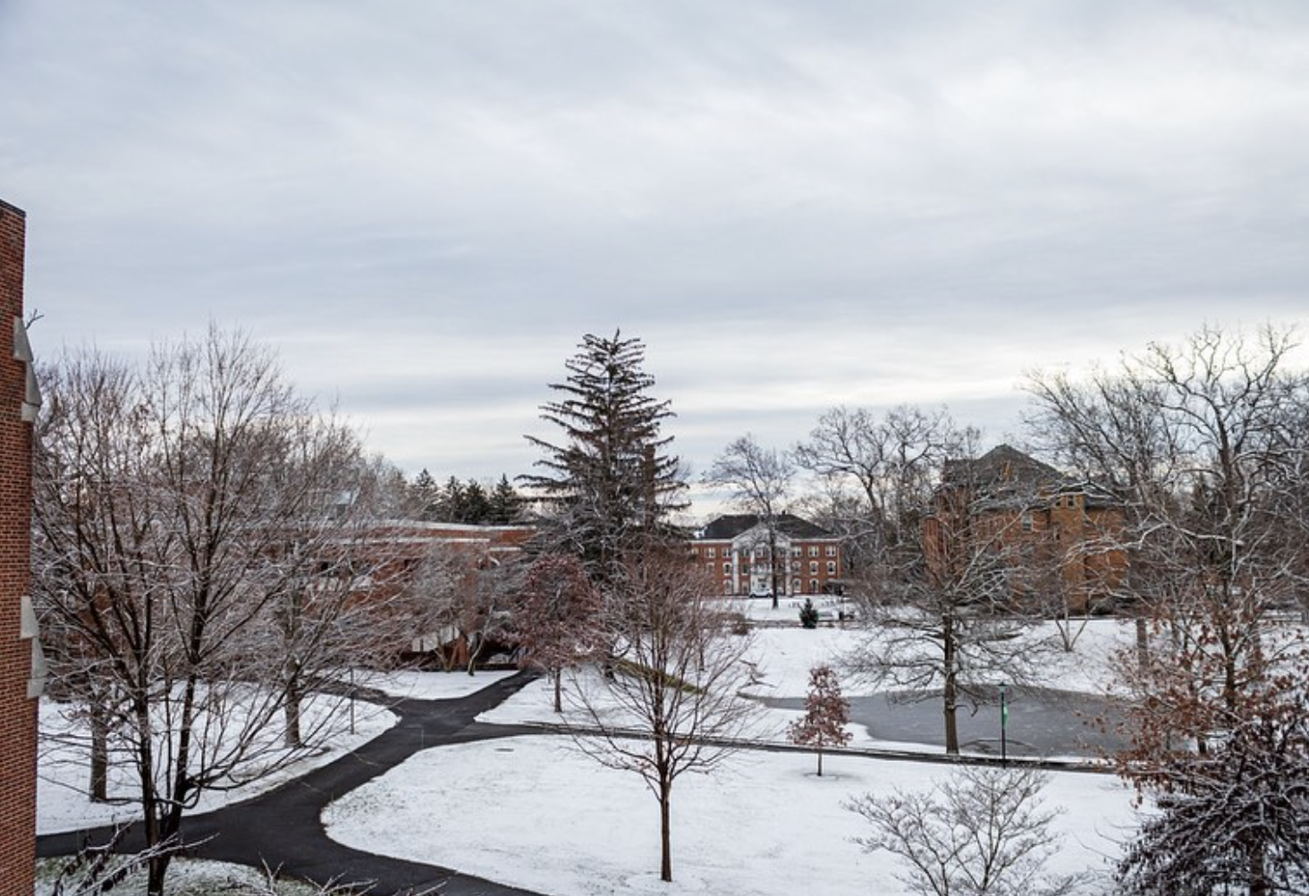 Screen Shot 2023-03-08 at 2.04.53 PM.png