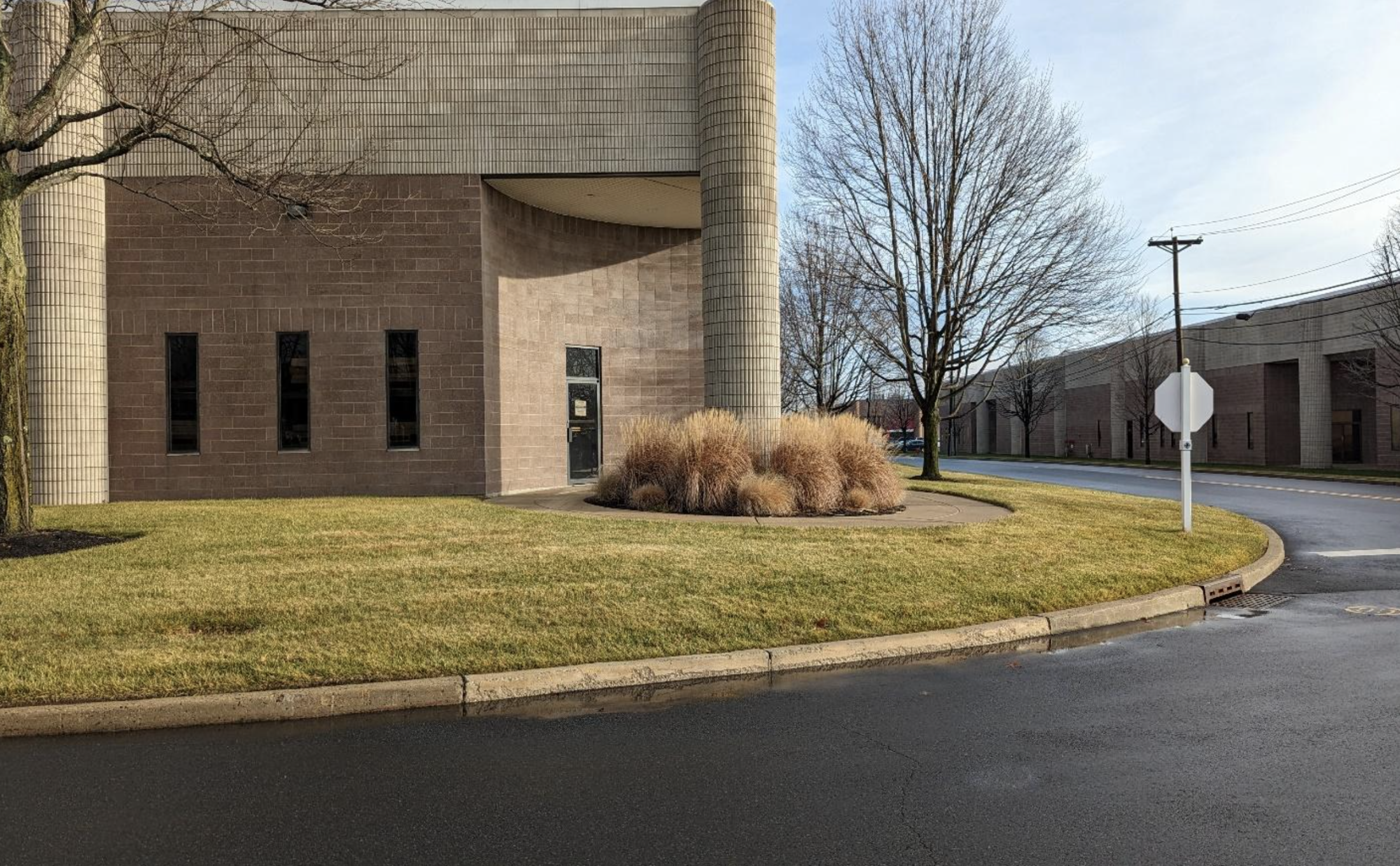 Ornamental Grasses at Raritan Center