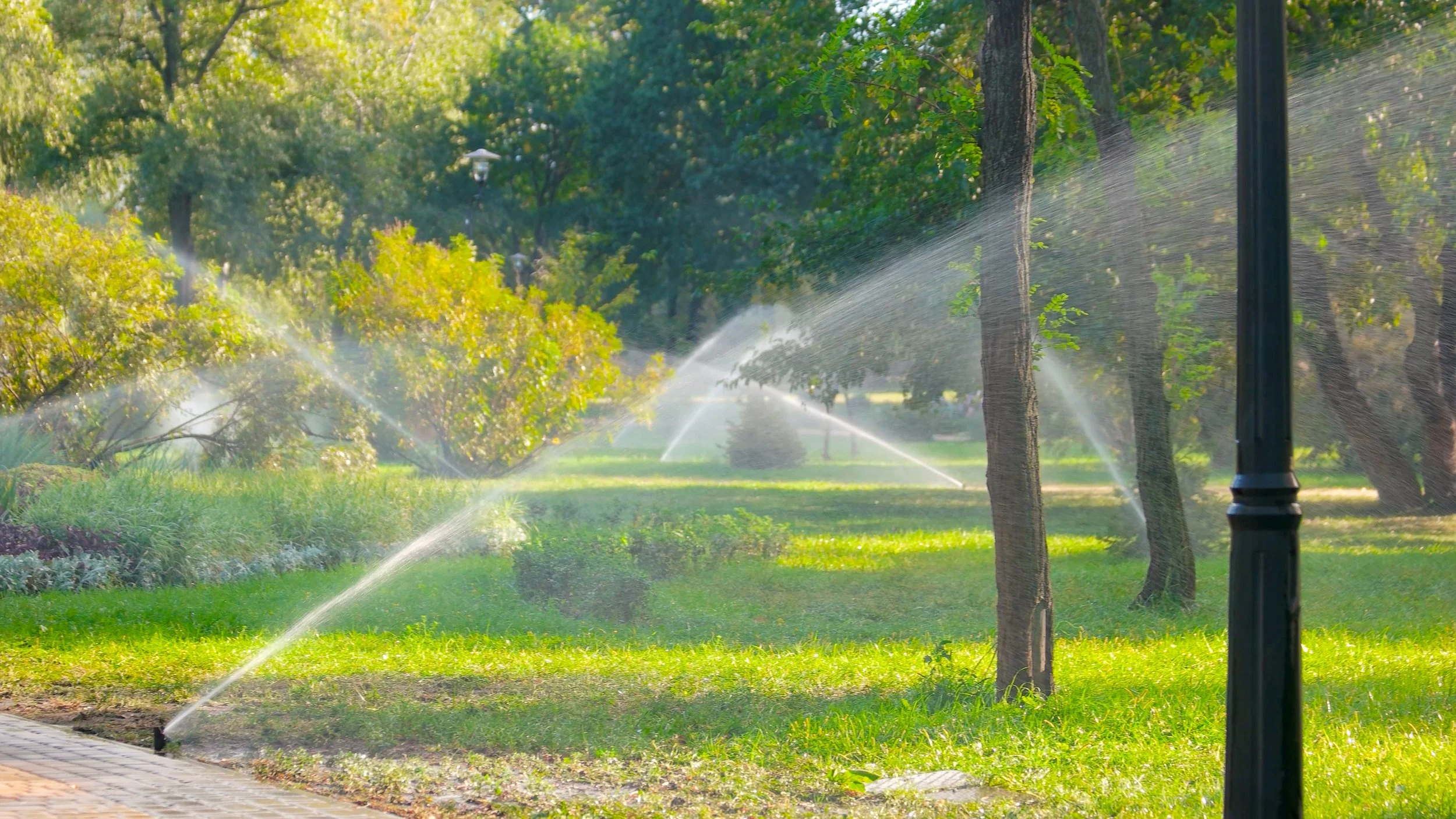 automatic-sprinkler-system-watering-the-lawn-2021-09-23-06-01-12-utc.jpg