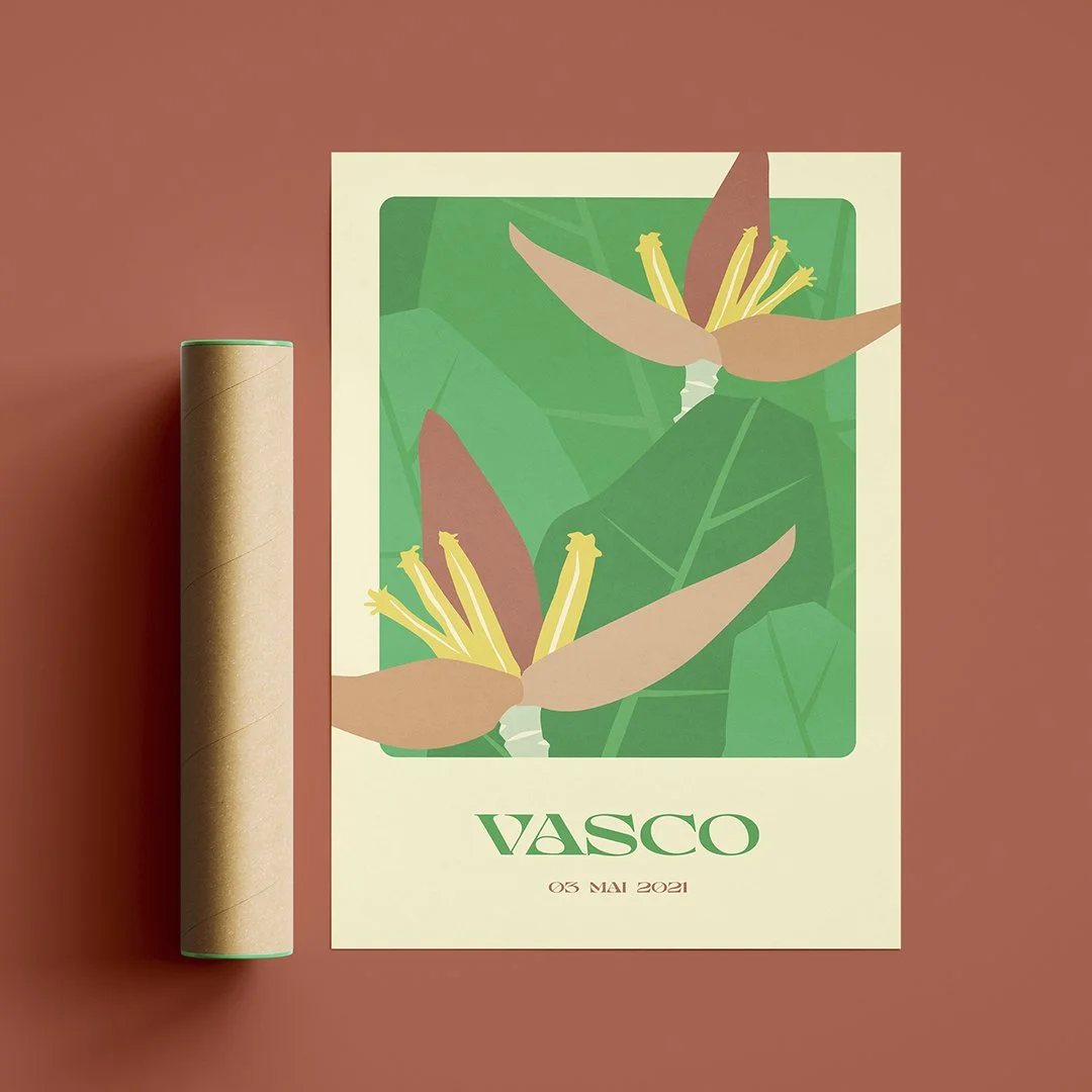 VASCO_10.jpg