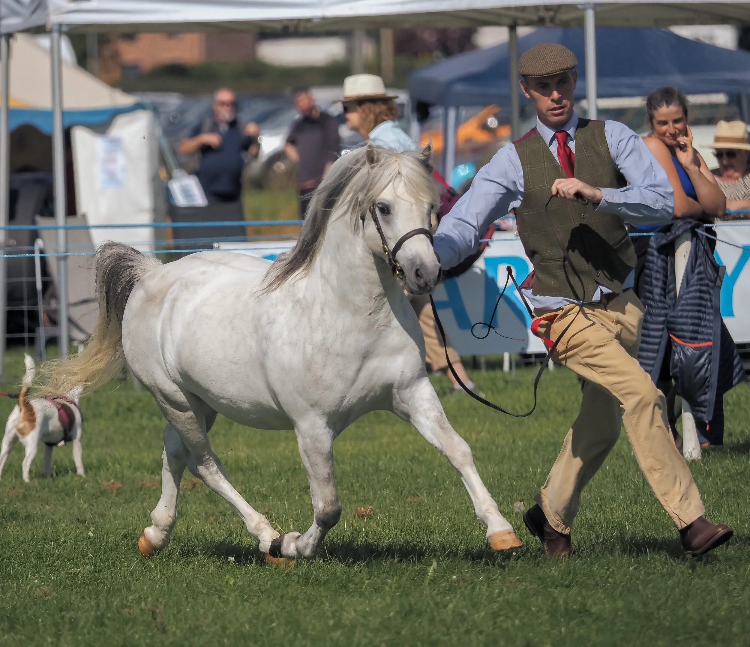 Dumfries Show 2025