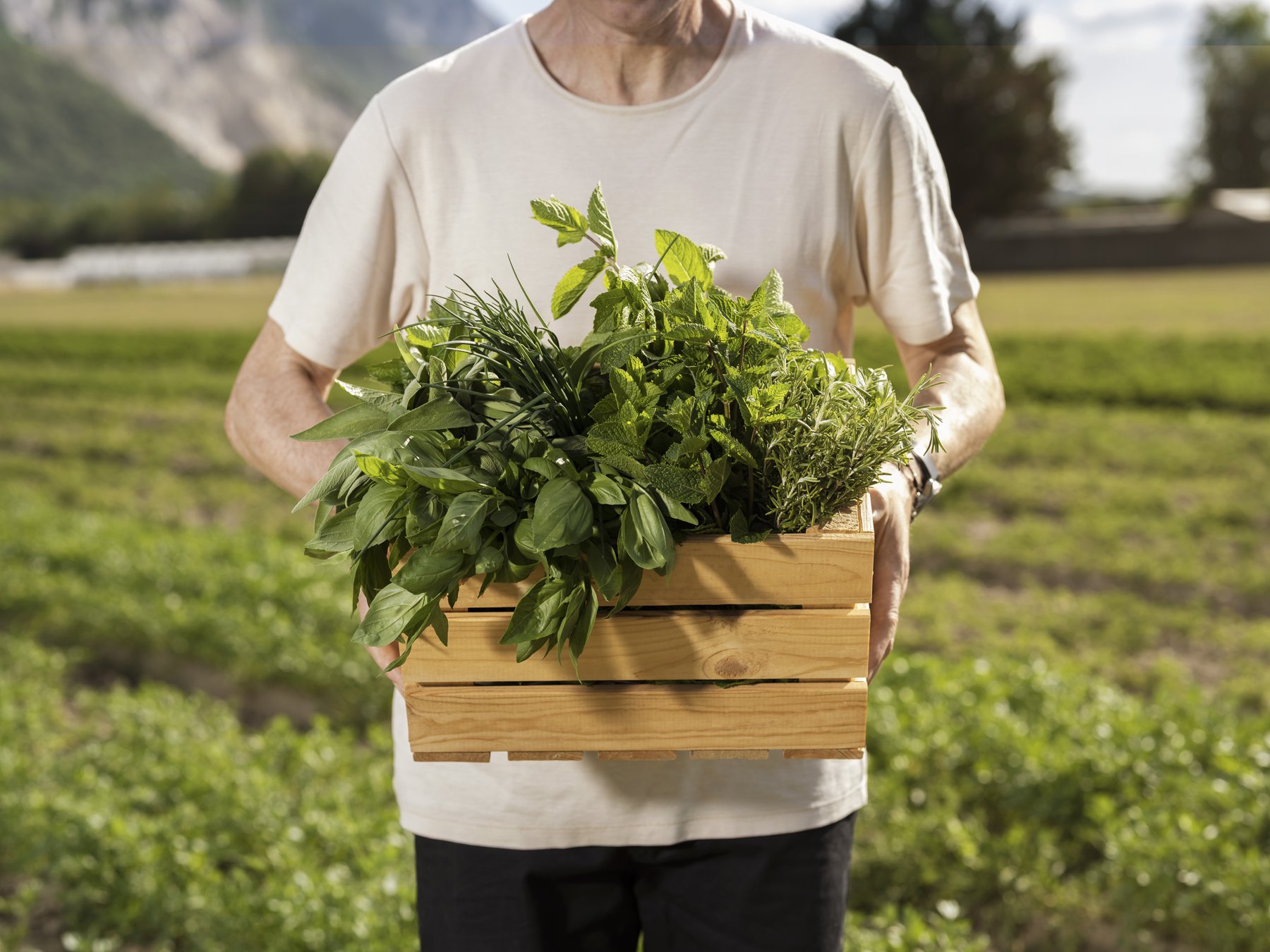 Migros - de la region