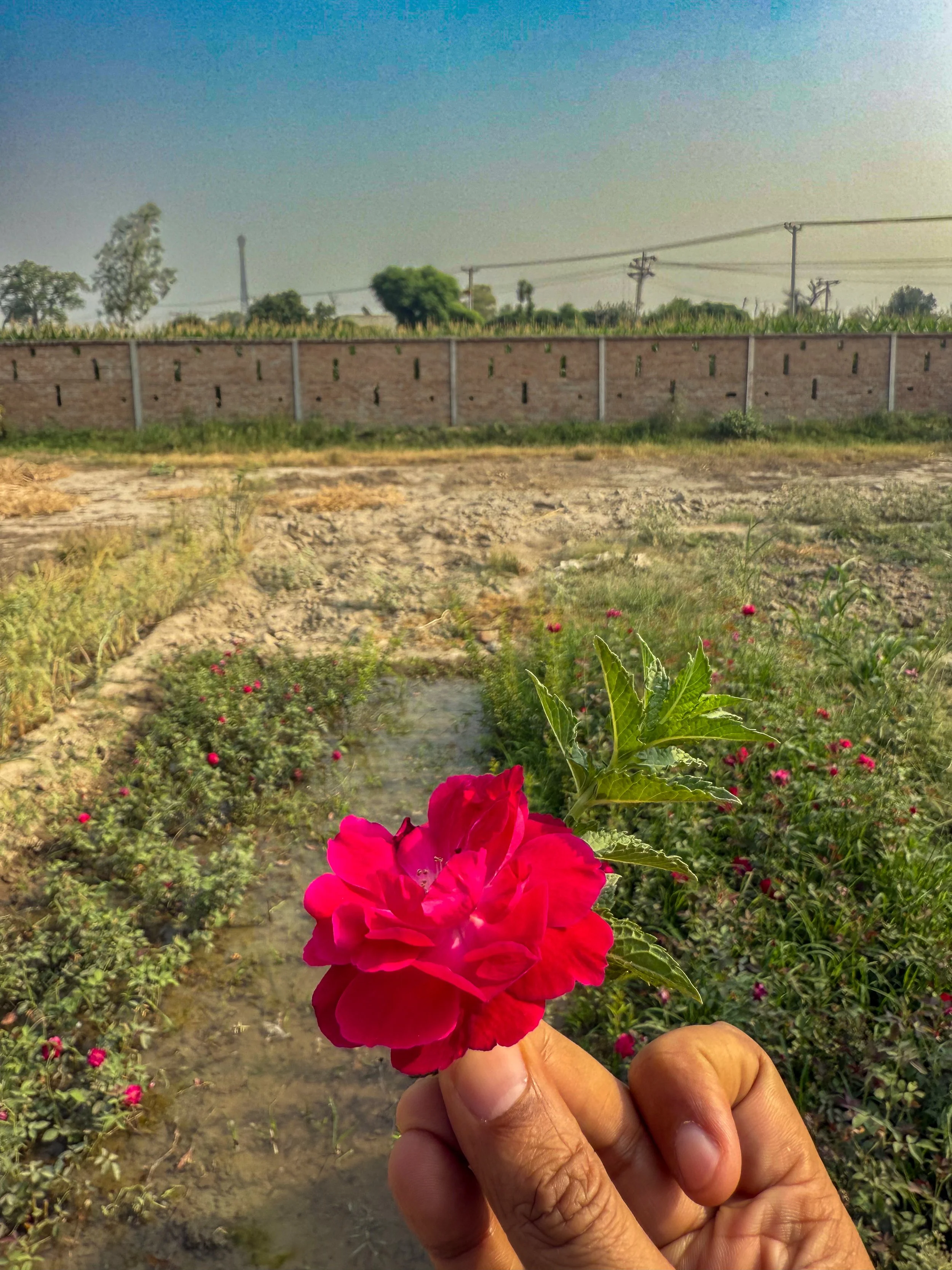 Zafar’s Land خاک 