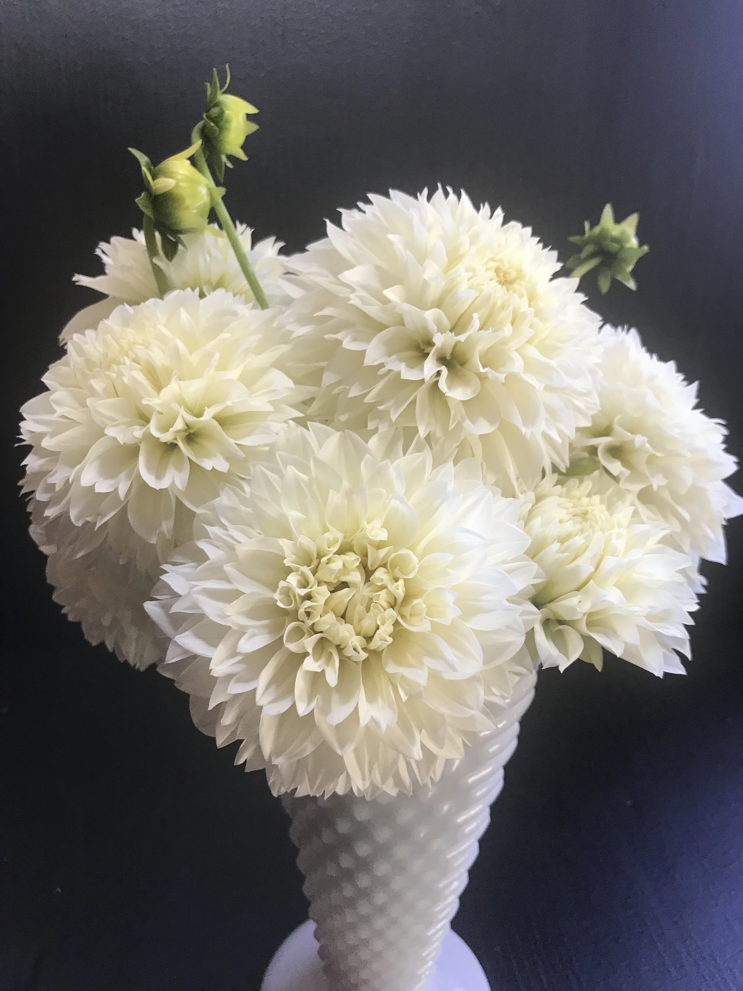 ◆ Happy Lucky happy / lucky - YouTube