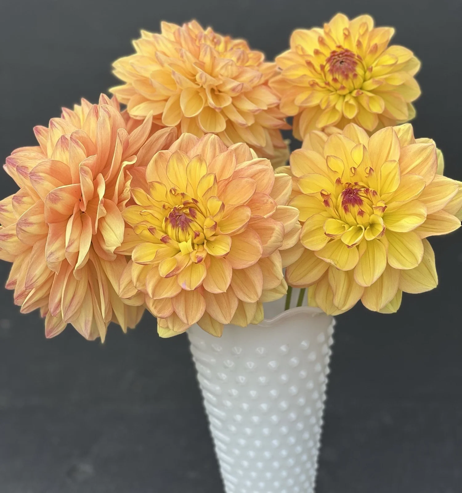 ◆ Happy Lucky  ③ st,extra_large,507x507-pad,