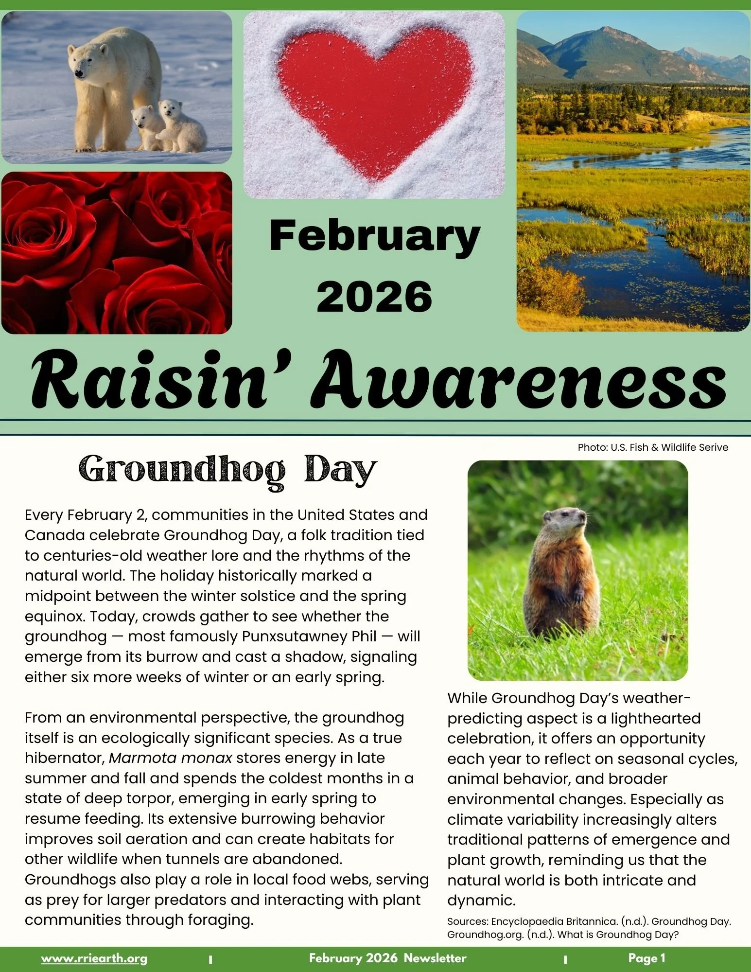 February Current Newsletter Cover