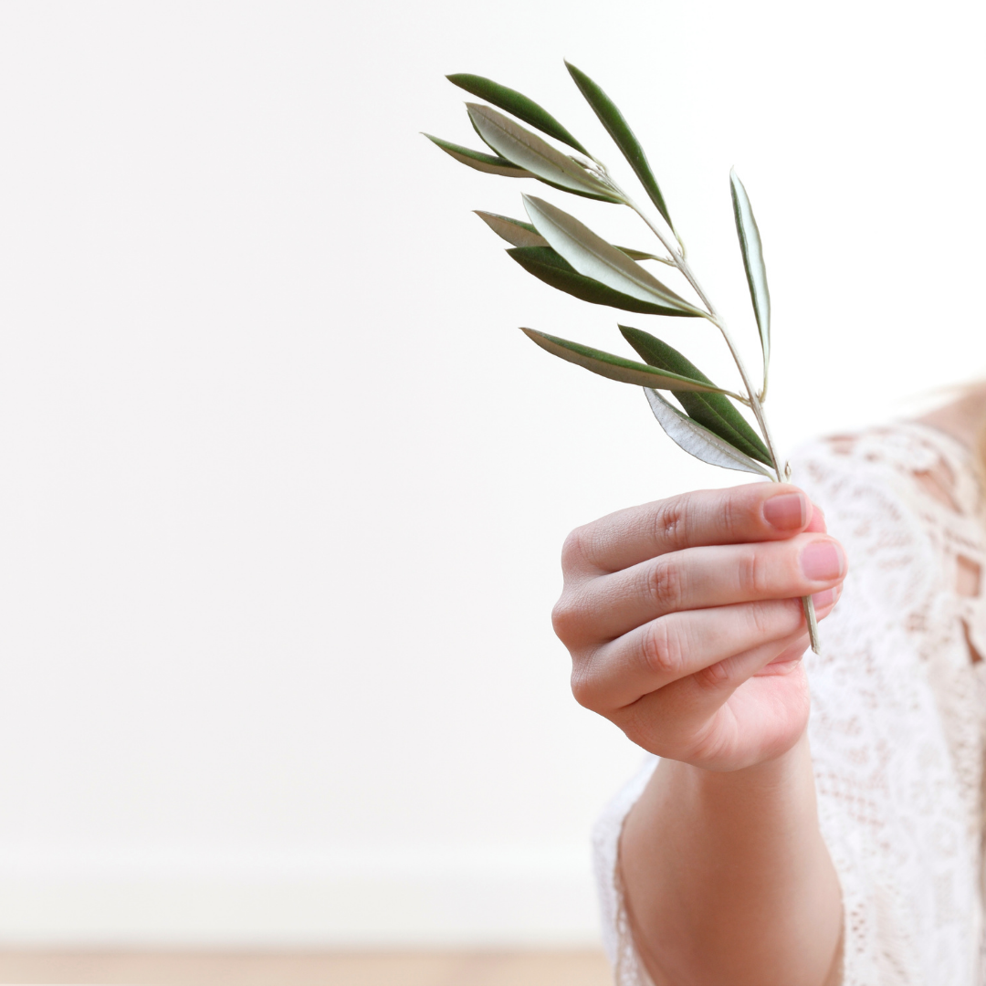 Ayurvedic counseling