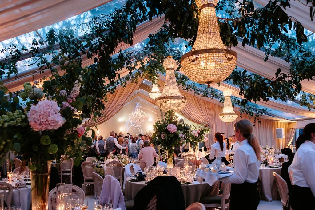 Evening - reveal curtain open.jpg