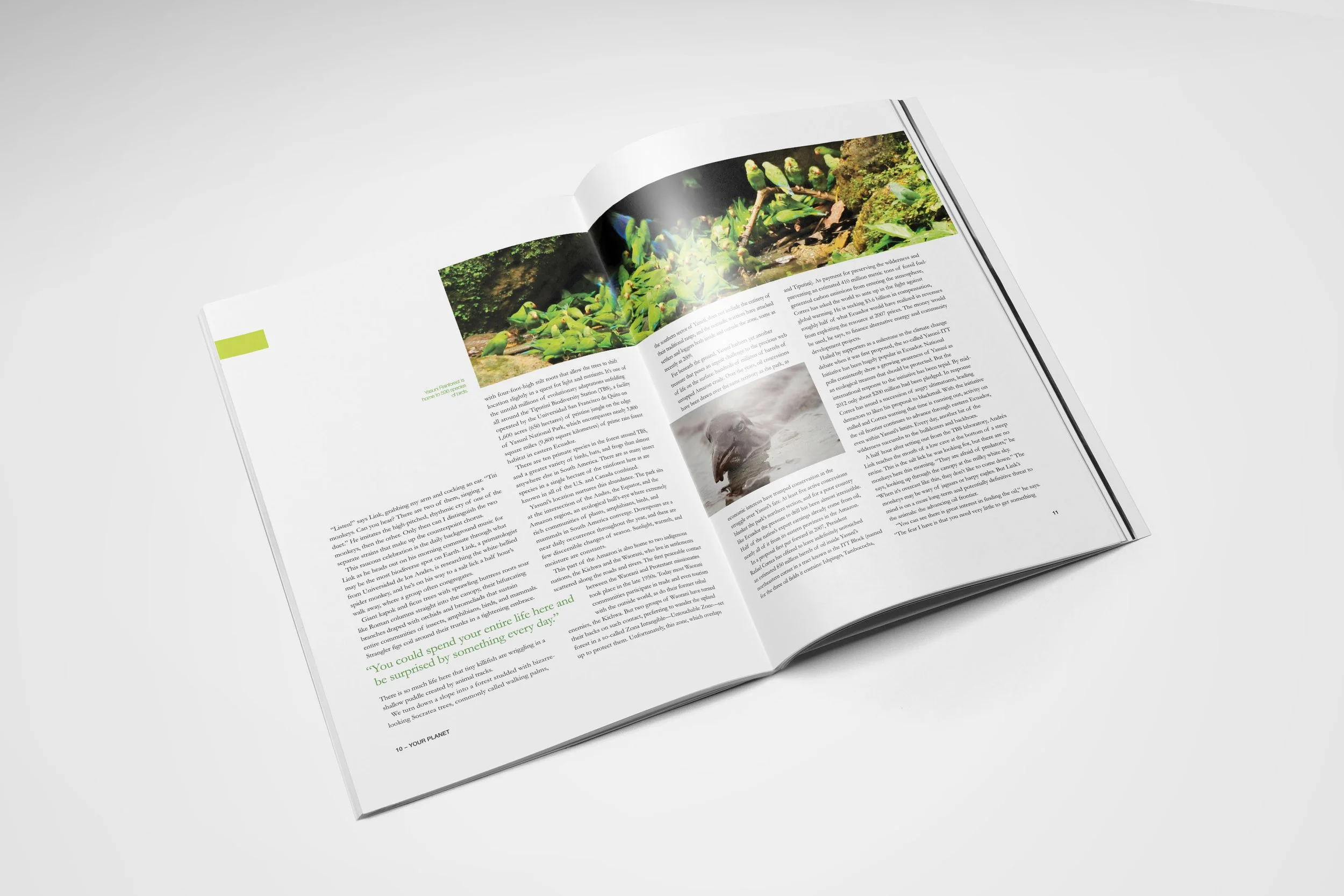 Editorial spread concept for print magazine