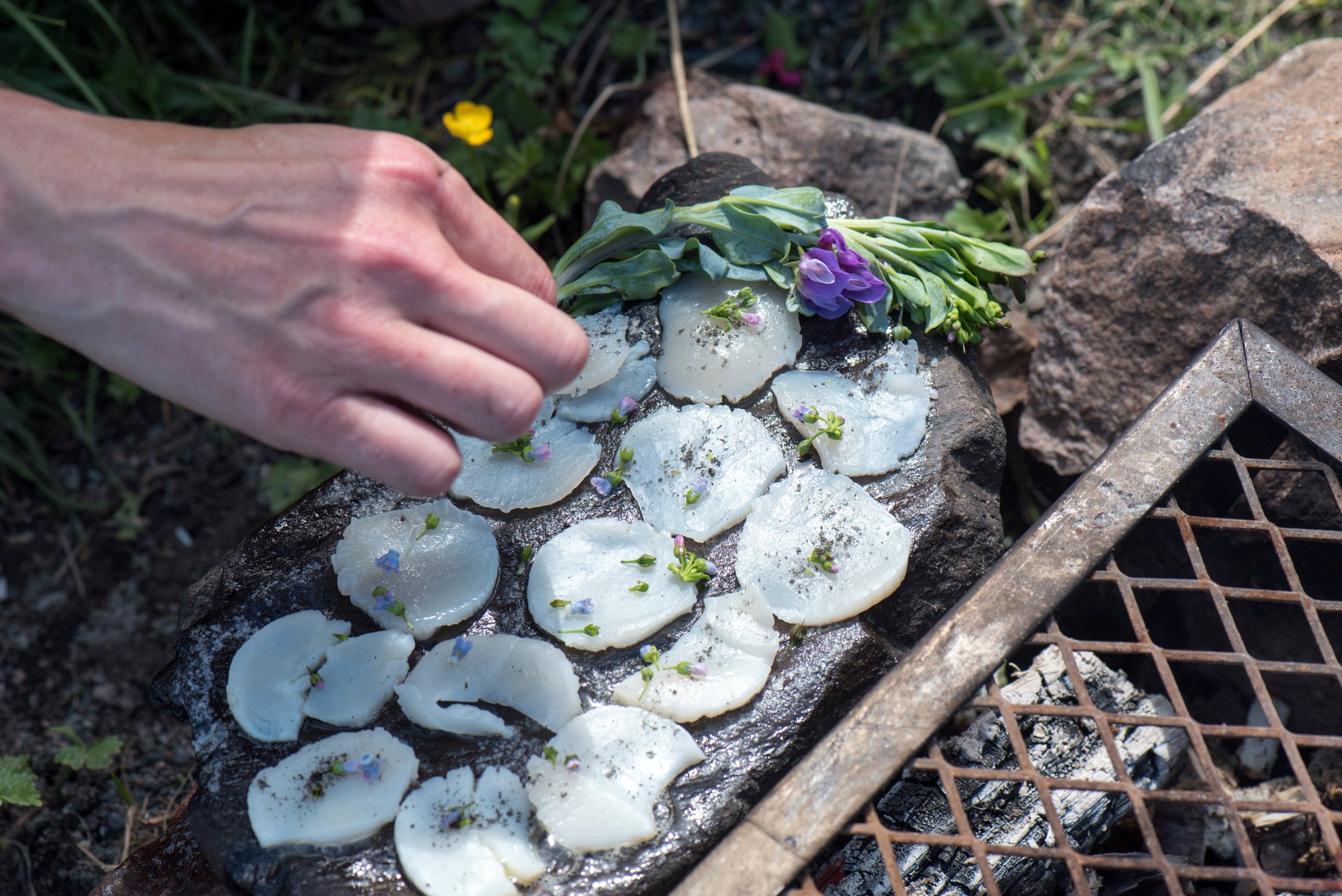 scallops on rock.jpg