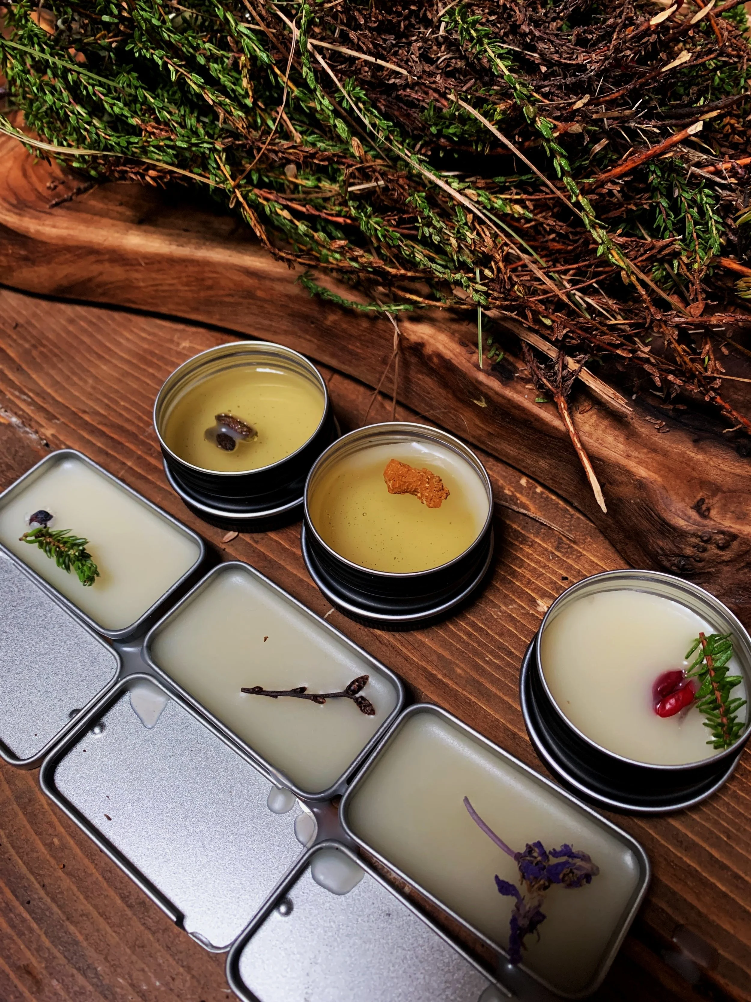 Making Salve with wild plants
