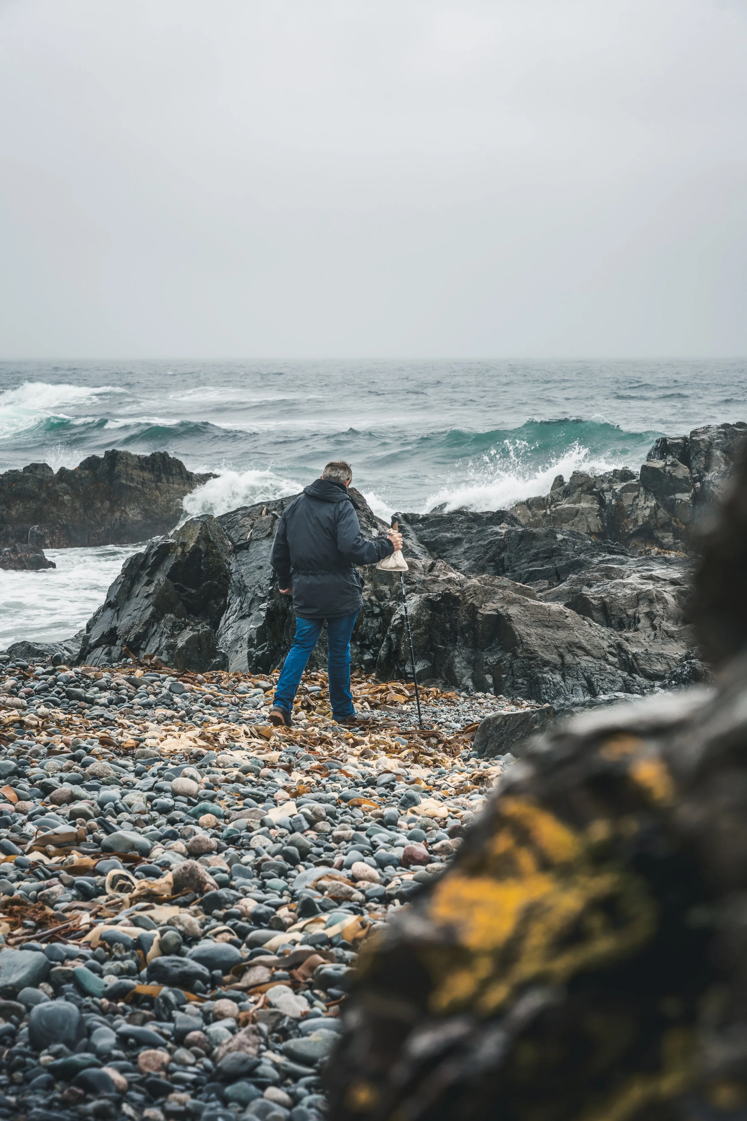 One of our foraging hikes takes us along the Ocean nearby
