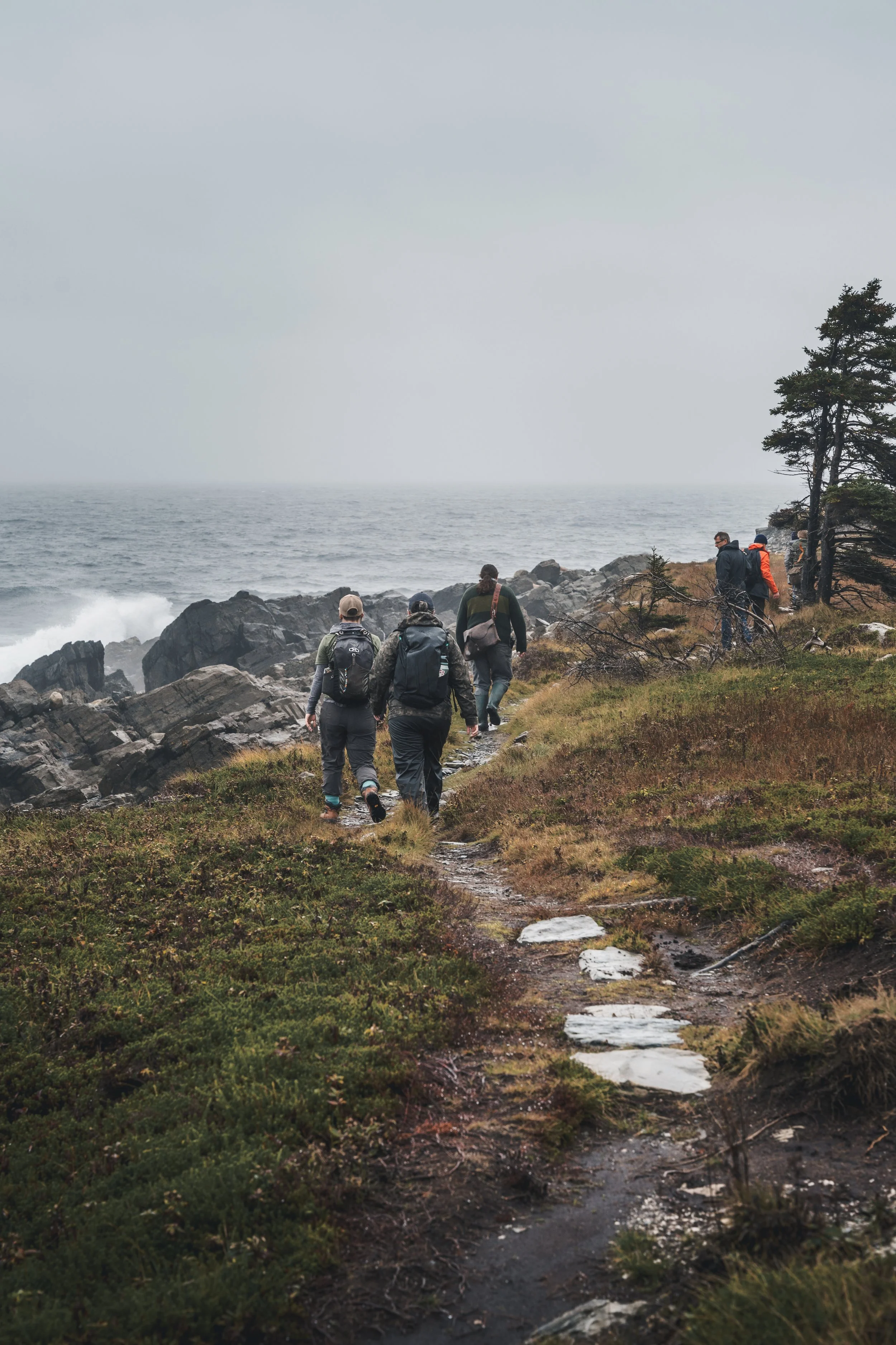 Hiking the East Coast Trial nearby