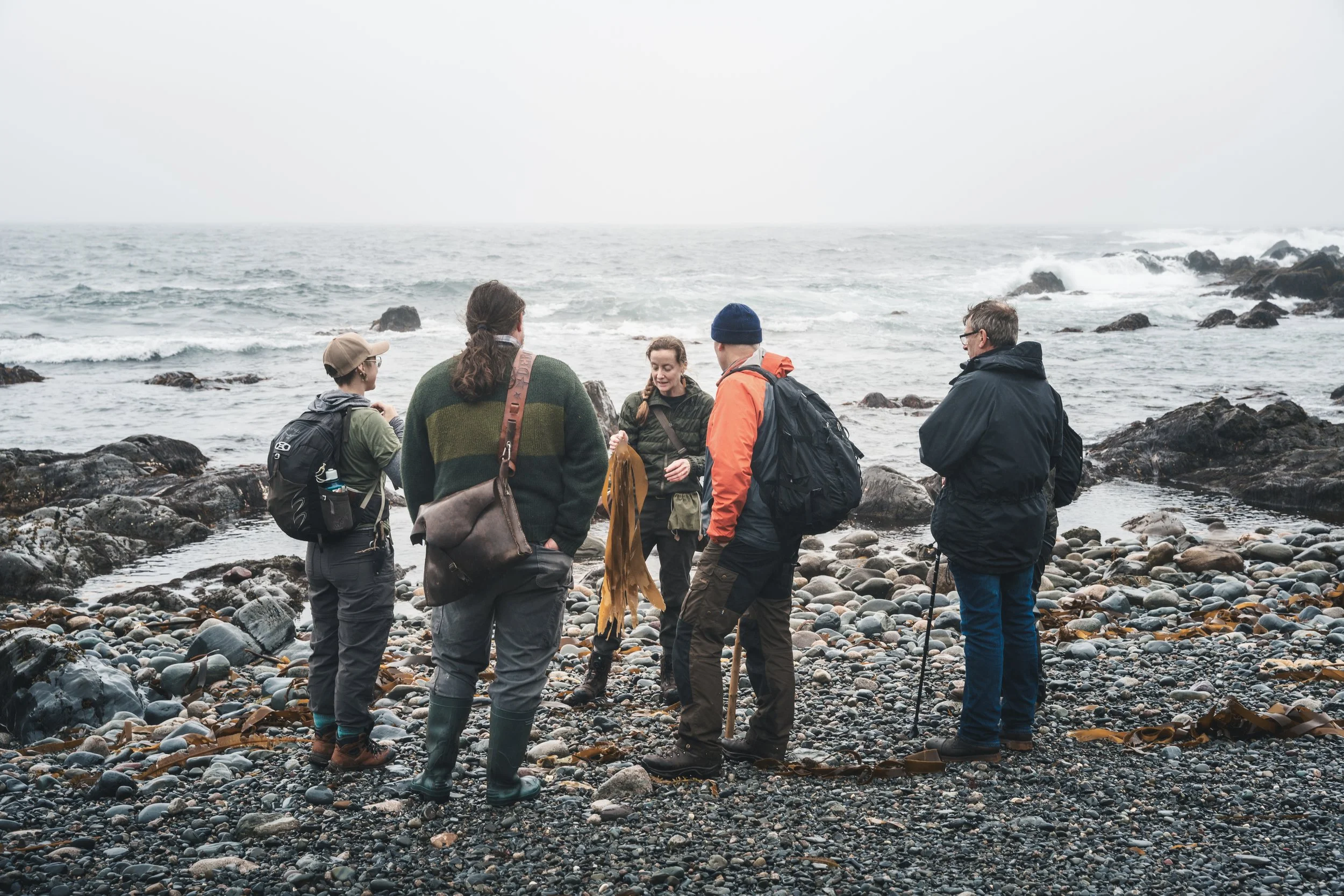 Talking Seaweed and foraging along the beach