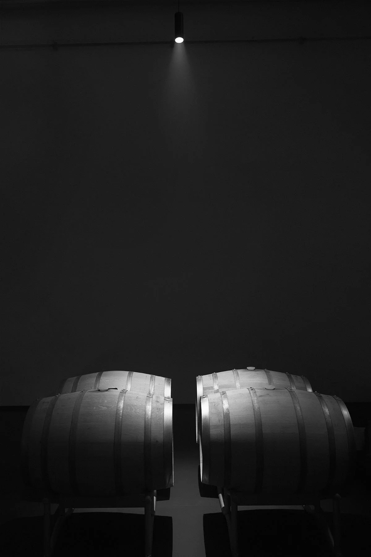 Tenuta Vergaia 00126.jpg