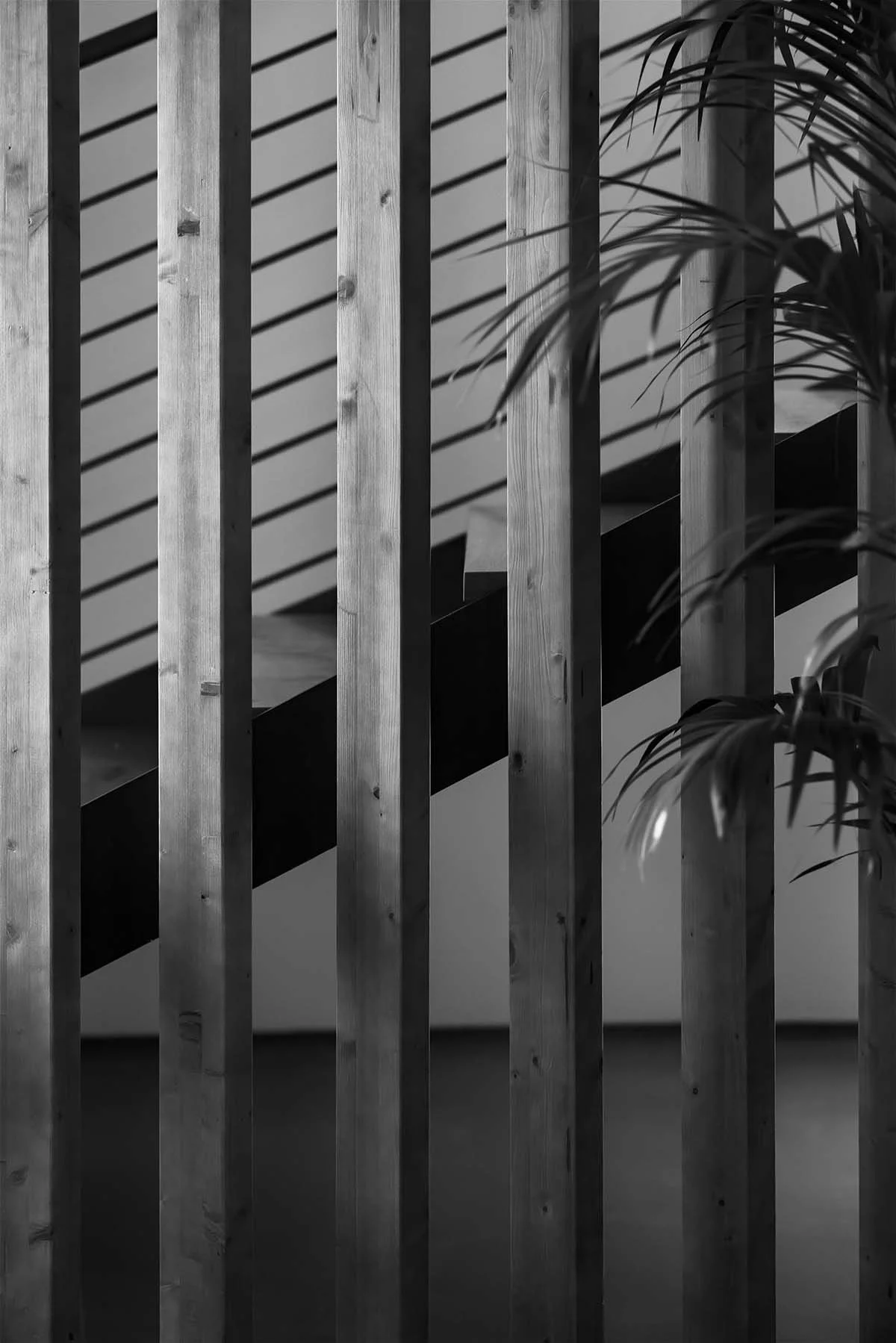 Tenuta Vergaia 00088.jpg