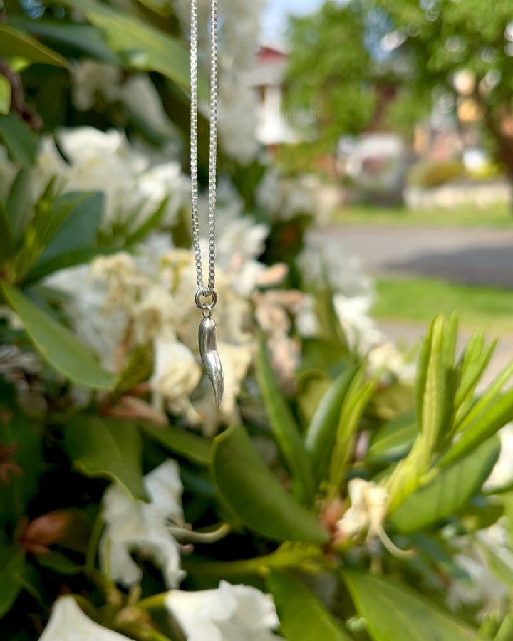 &bull; The Cornicello &bull; 

Meaning &ldquo;little horn&rdquo; in Italian, is an amulet used to protect against the evil eye, bad luck and to promote fertility. This symbol has been worn since ancient times and continues to be a classic symbol of a