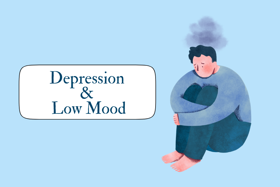 Depression Self-Help Guide (3 x 2 in).png