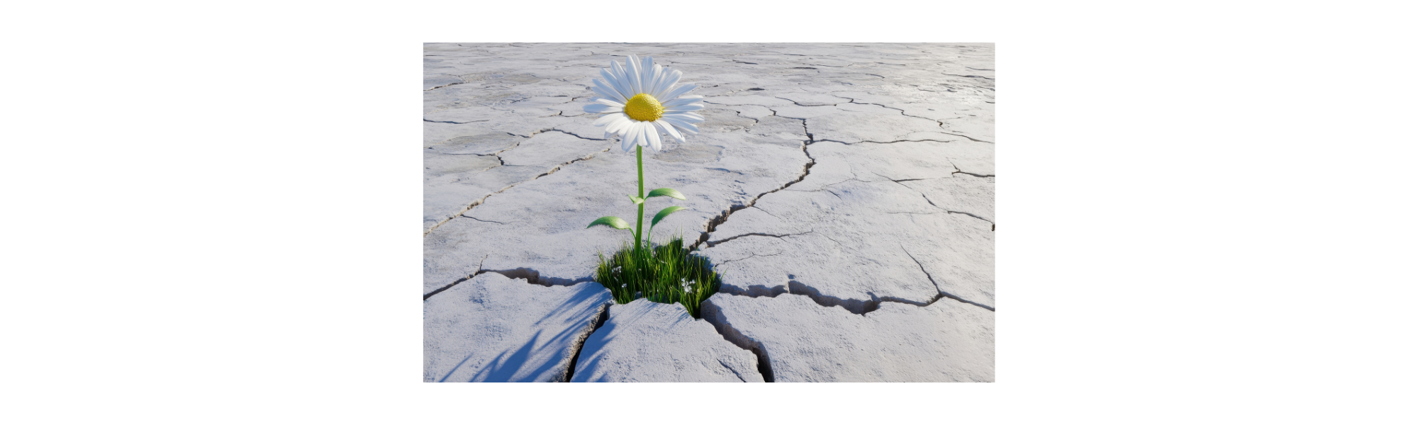 Building Financial Resilience for Public Housing Authorities in an Era of Uncertainty