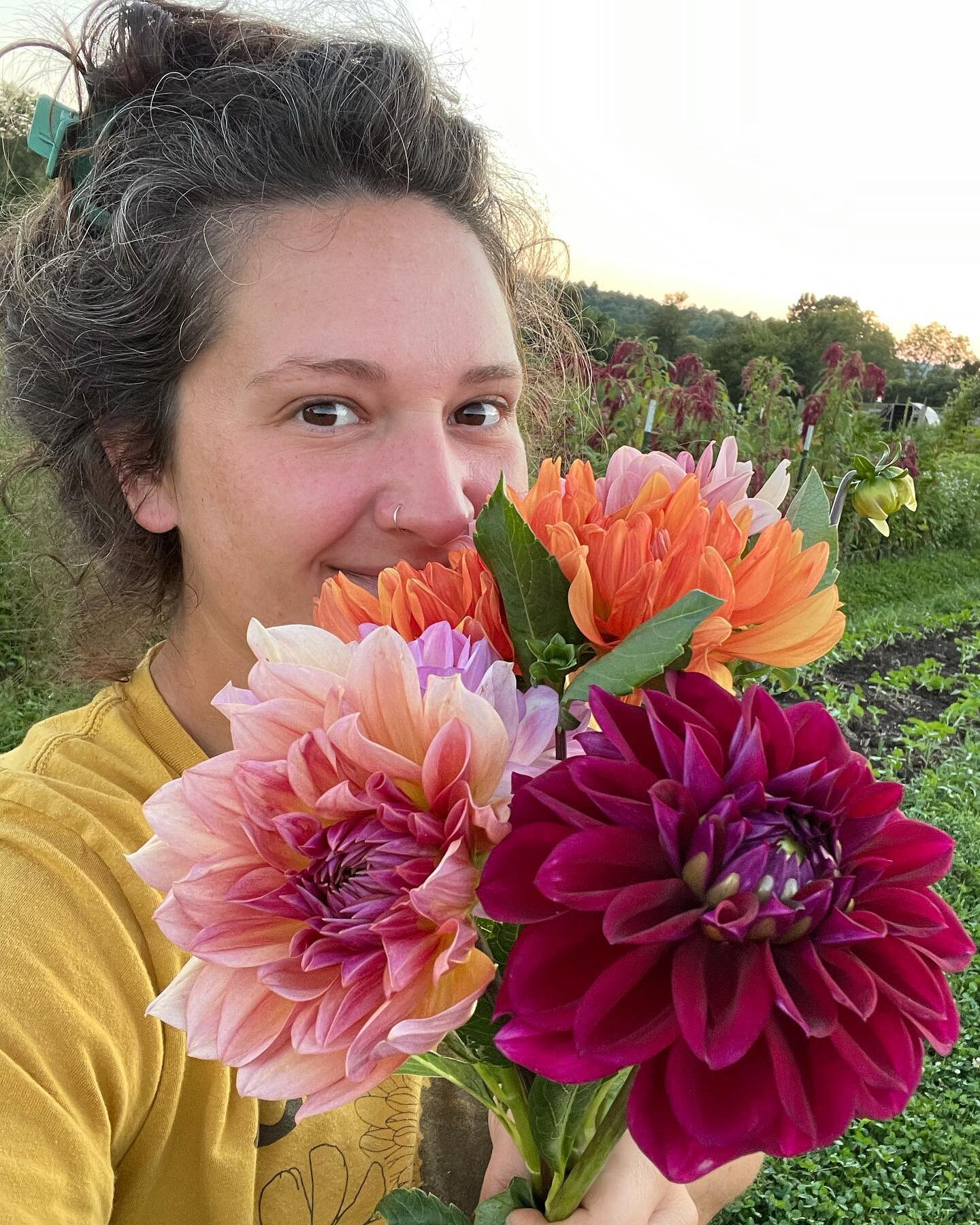 Lots of dead-heading this evenin&rsquo;! Living for these cooler nights and for getting to share the garden with my closest pals this last weekend! We will be back at the @franklincountyfarmersmarket this Saturday or wholesale RFC via @thekentuckyflo