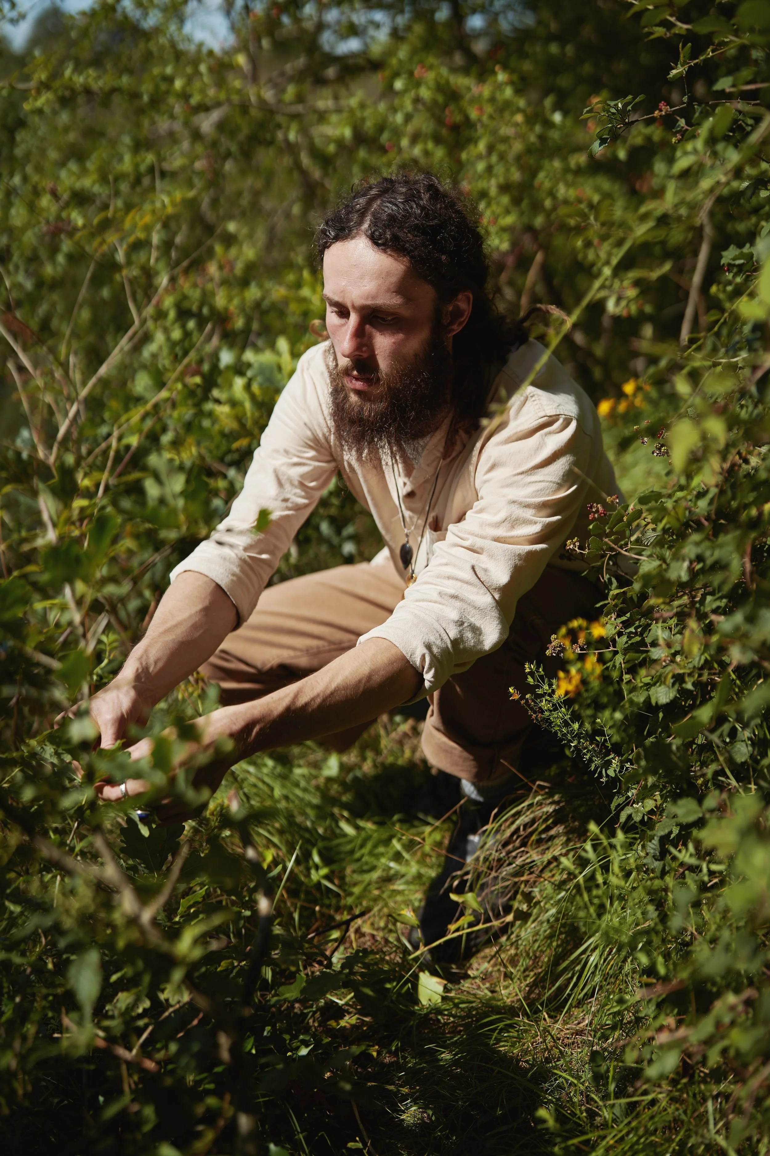 A man with long hair and a beard, wearing a beige shirt and brown pants, crouches in dense greenery, picking berries from bushes.