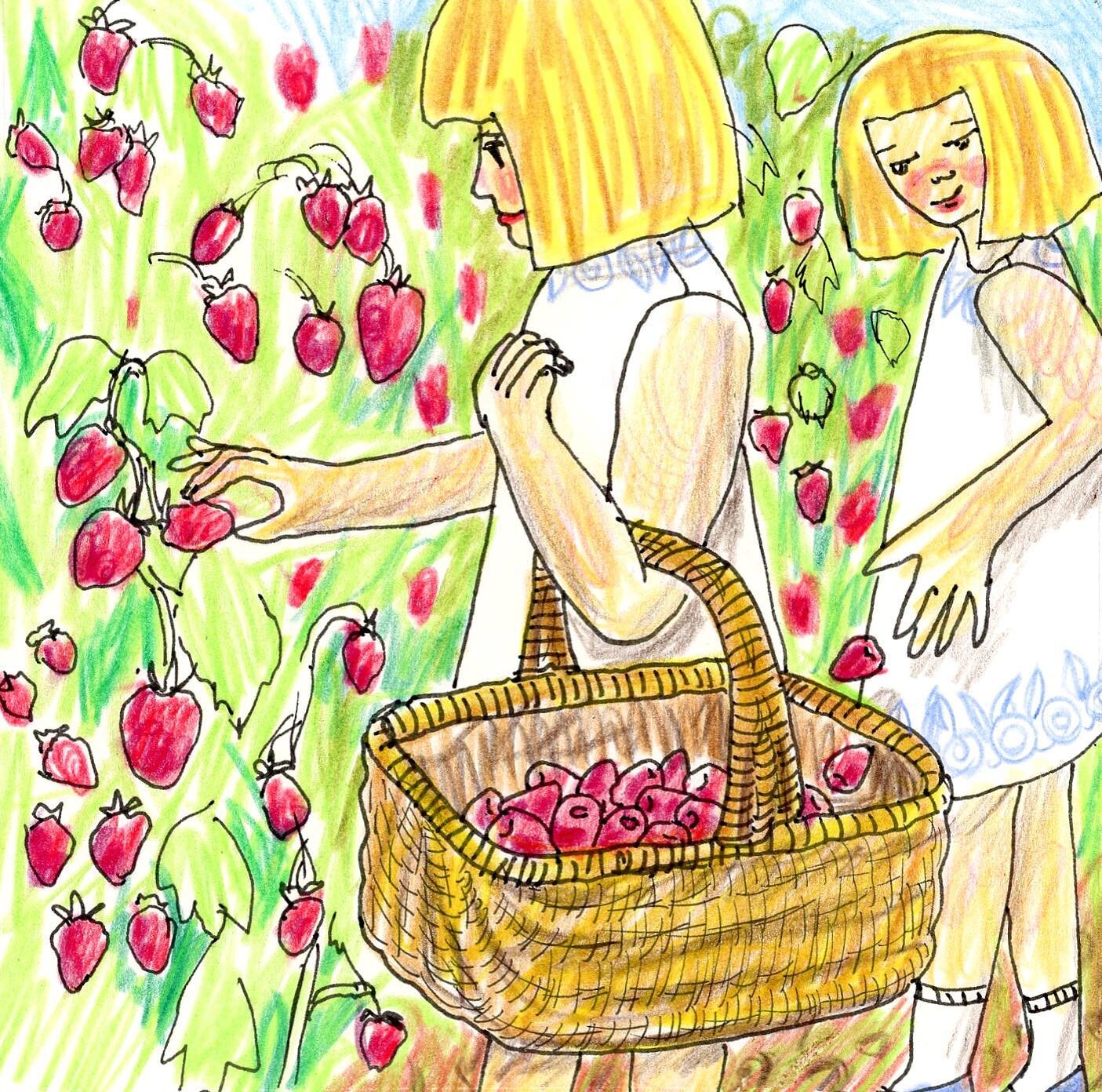 @TheyDrawAndCook Summer draw along: 
Day 26: Basket of berries
.
.
.
.
#theydrawandcook #summerdrawalong #foodillustration #colouredpencils #polychromos #raspberries #growyourown #foodni #belfastart #mumsatworkni #womeninbusinessni #editorialillustra
