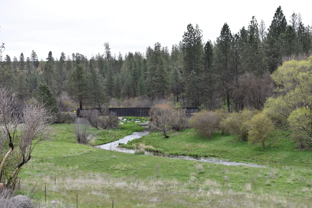 Pine Creek