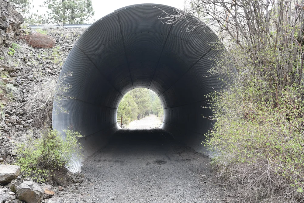 Tube Tunnel