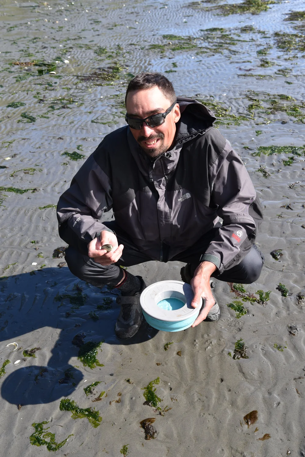 Clamming