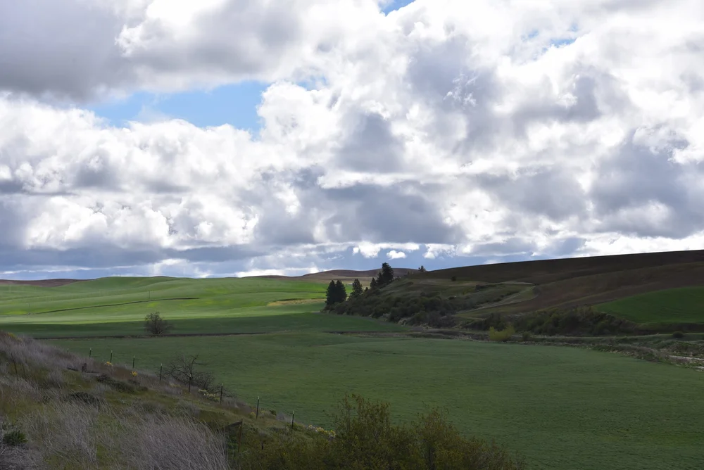 The Many Faces of the Palouse