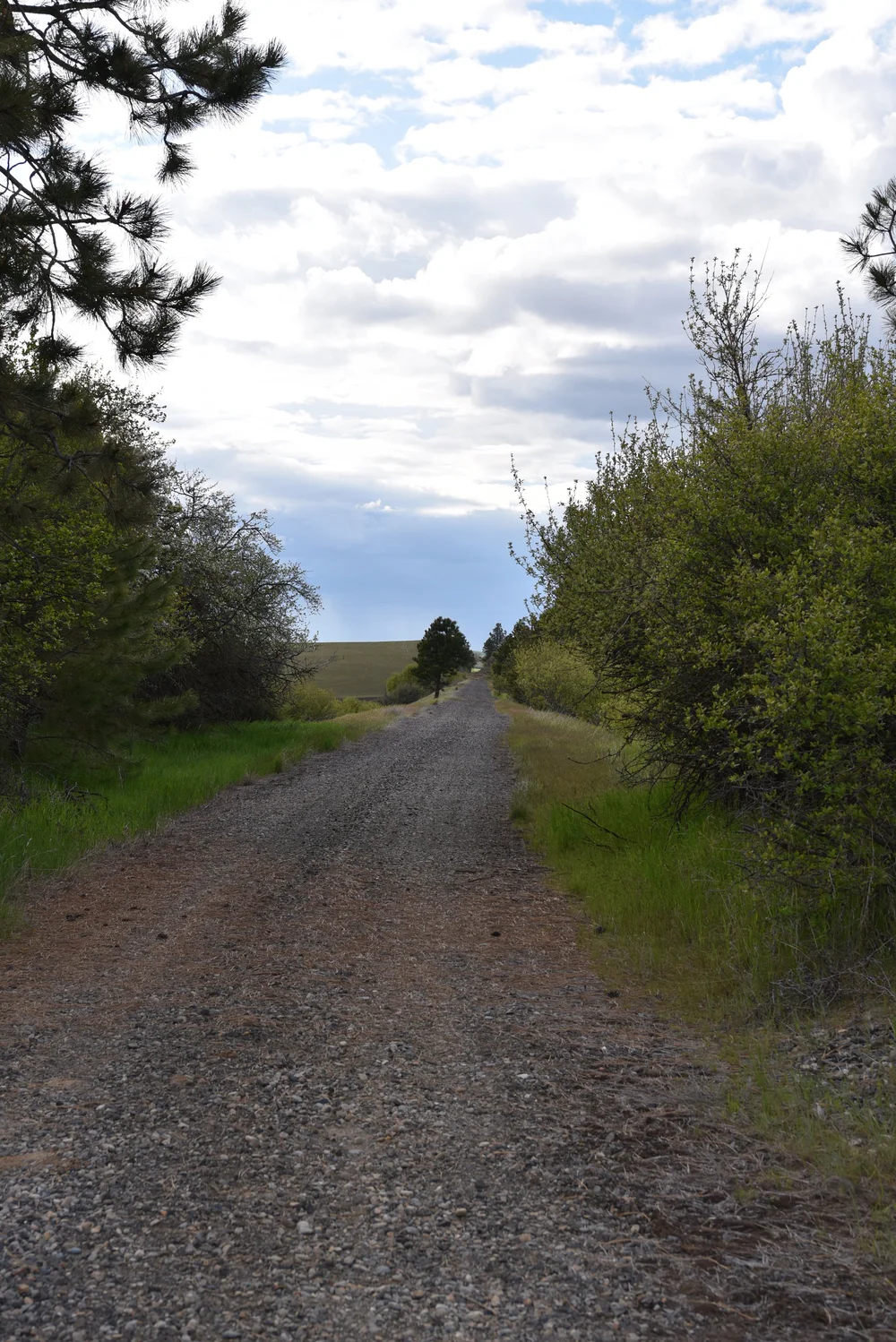 My kind of trail....