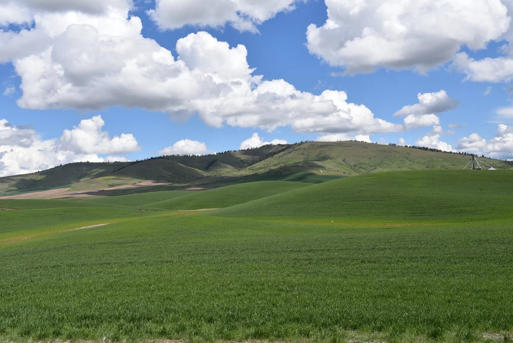 Pretty Palouse
