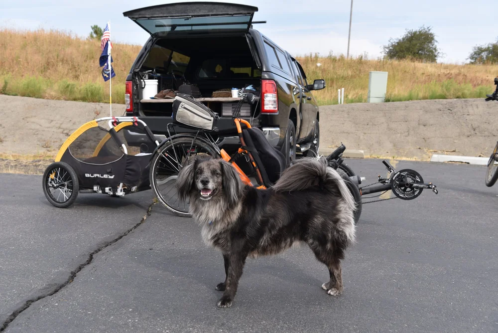 A TRAIL DOG!!!