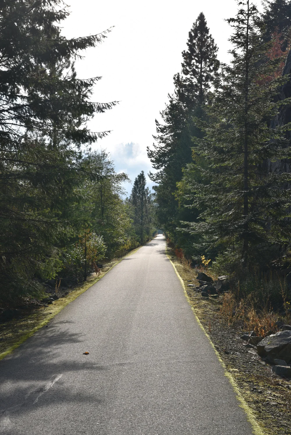 Trail of the Day