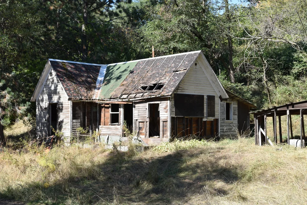 Decay