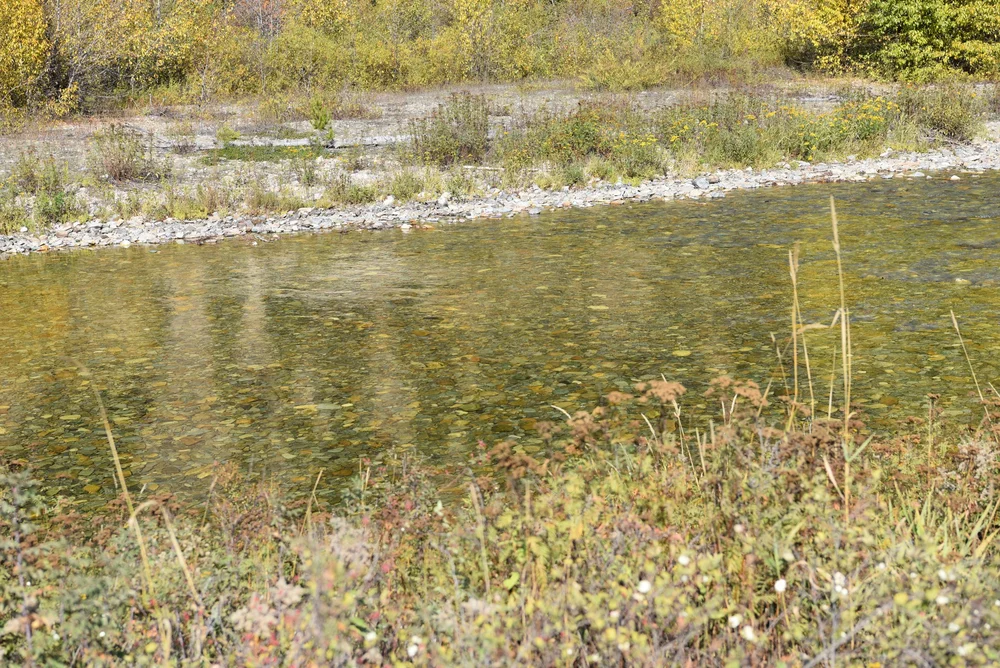 St. Regis River